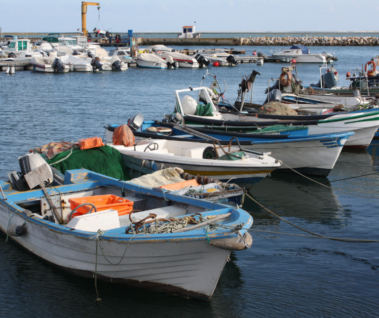 Fishing Boats for Sale Near Me