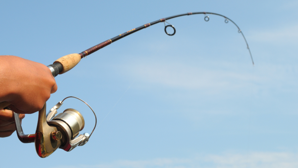 the best fishing rods for beginners