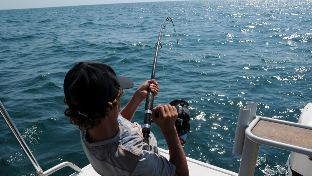 the best fishing rods for beginners
