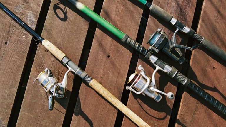 The Best Fishing Rods for Beginners